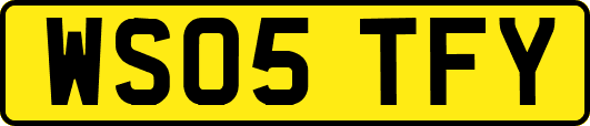 WS05TFY