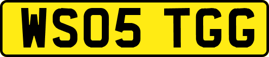 WS05TGG