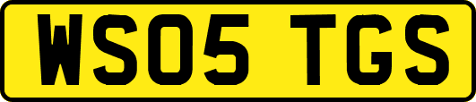WS05TGS