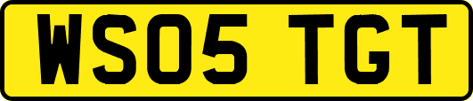 WS05TGT