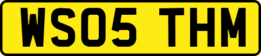 WS05THM