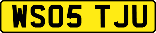 WS05TJU