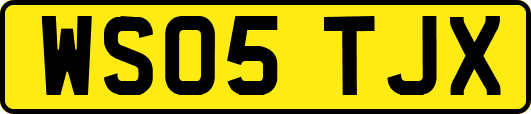WS05TJX