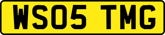 WS05TMG