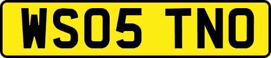 WS05TNO