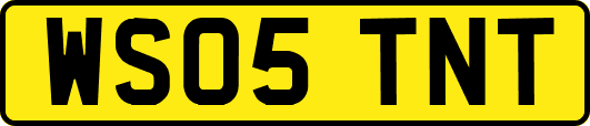 WS05TNT