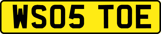 WS05TOE