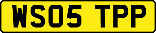 WS05TPP