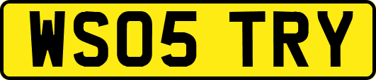 WS05TRY