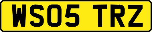 WS05TRZ
