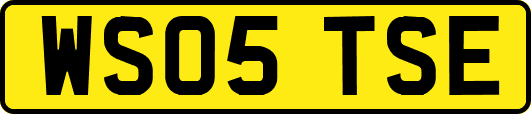WS05TSE