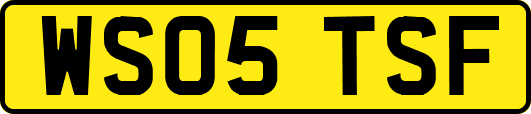 WS05TSF