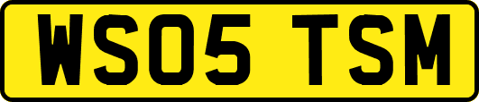 WS05TSM