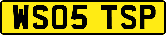 WS05TSP