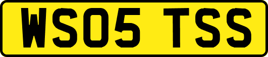 WS05TSS