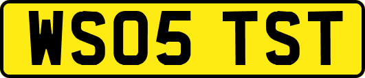WS05TST
