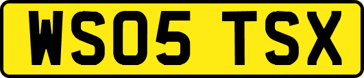 WS05TSX