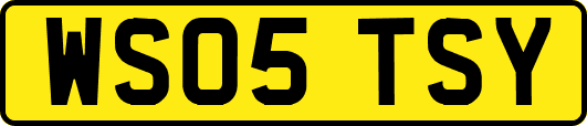 WS05TSY