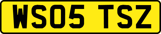 WS05TSZ