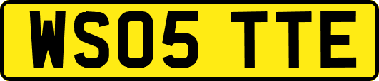 WS05TTE