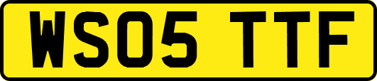 WS05TTF