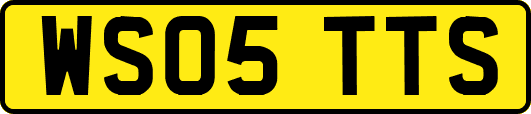 WS05TTS