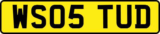 WS05TUD