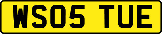 WS05TUE