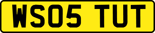 WS05TUT