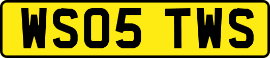 WS05TWS
