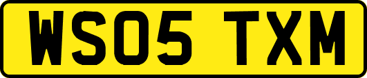 WS05TXM