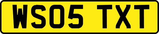 WS05TXT