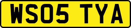 WS05TYA