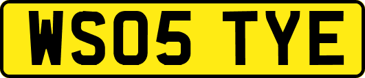 WS05TYE