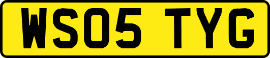 WS05TYG