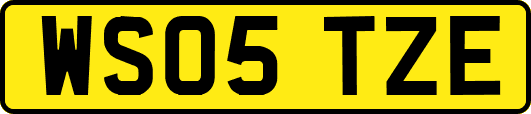 WS05TZE