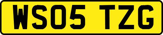 WS05TZG