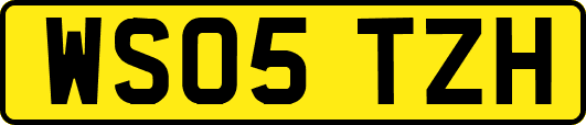 WS05TZH