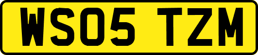 WS05TZM