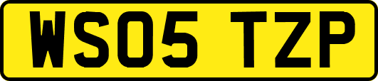 WS05TZP
