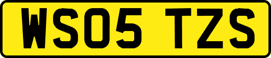 WS05TZS