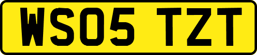 WS05TZT