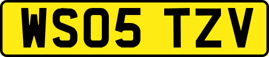 WS05TZV