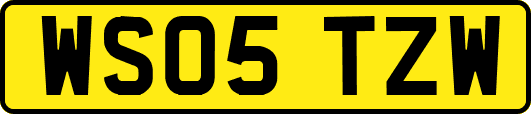 WS05TZW