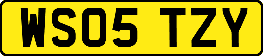 WS05TZY