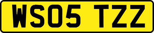 WS05TZZ