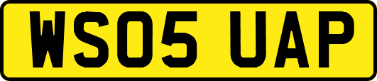 WS05UAP