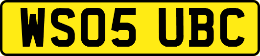 WS05UBC
