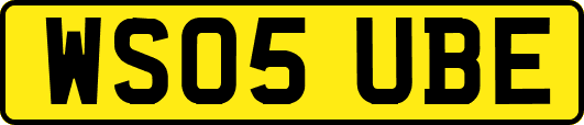 WS05UBE