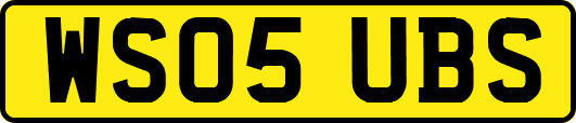 WS05UBS